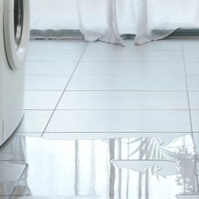 Appliance Leak Cleanup in Avondale, AZ